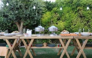 בוצר אגוז אפריקאי+פלטה עץ 1.80/80