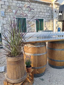 בר חבית יין